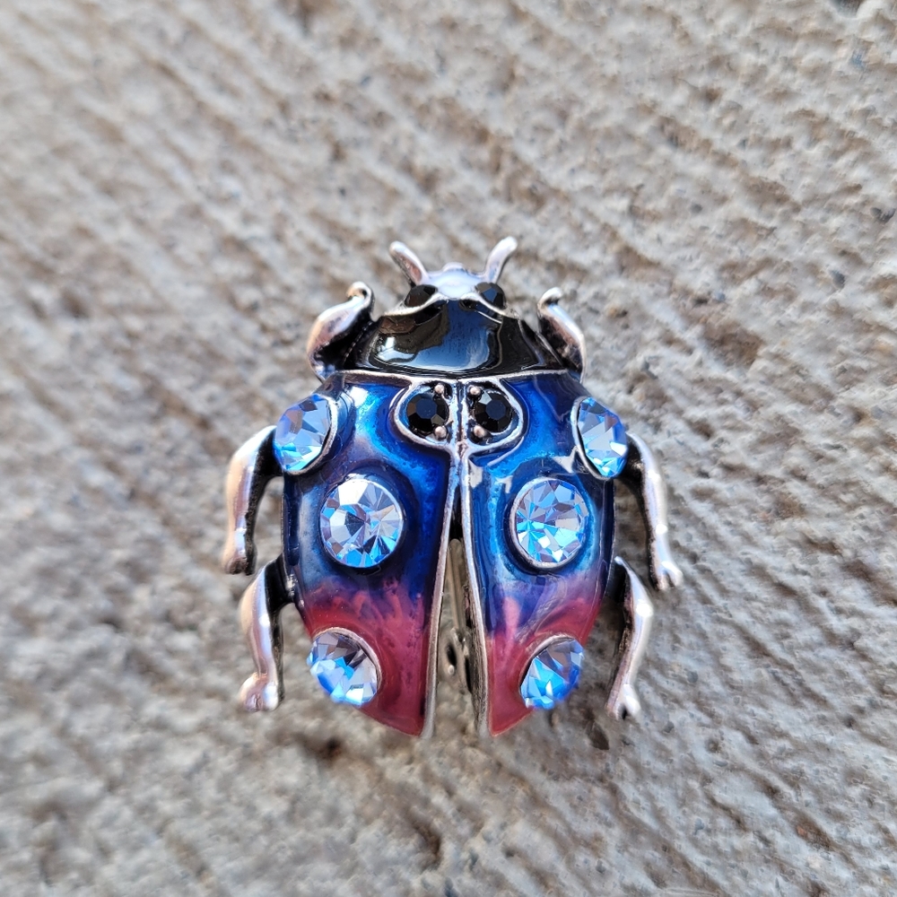 Ladybug Brooch - Picture 1 of 3